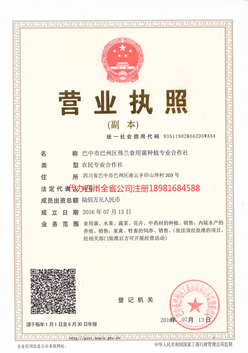 宝兴宝兴伟兰食用菌种植专业合作社